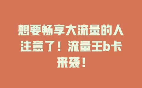想要畅享大流量的人注意了！流量王b卡来袭！