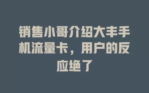 销售小哥介绍大丰手机流量卡，用户的反应绝了