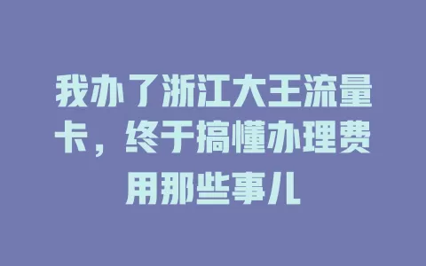 我办了浙江大王流量卡，终于搞懂办理费用那些事儿