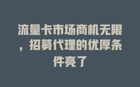 流量卡市场商机无限，招募代理的优厚条件亮了