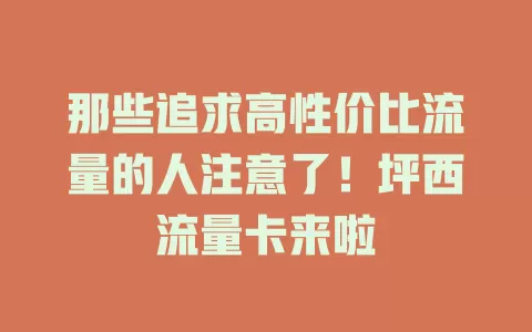 那些追求高性价比流量的人注意了！坪西流量卡来啦