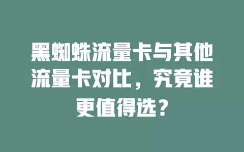 黑蜘蛛流量卡与其他流量卡对比，究竟谁更值得选？