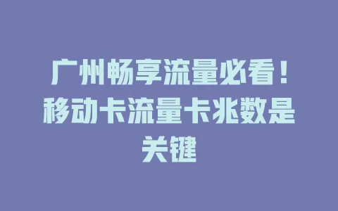 广州畅享流量必看！移动卡流量卡兆数是关键