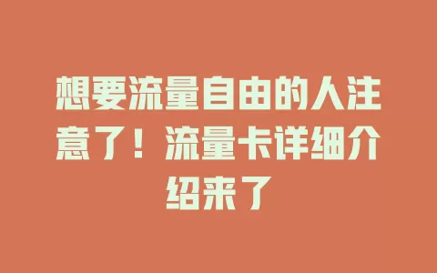 想要流量自由的人注意了！流量卡详细介绍来了