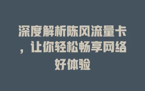 深度解析陈风流量卡，让你轻松畅享网络好体验