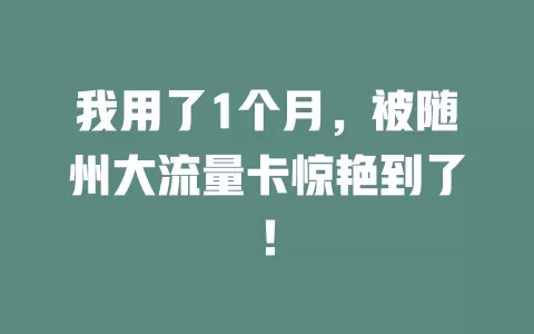 我用了1个月，被随州大流量卡惊艳到了！