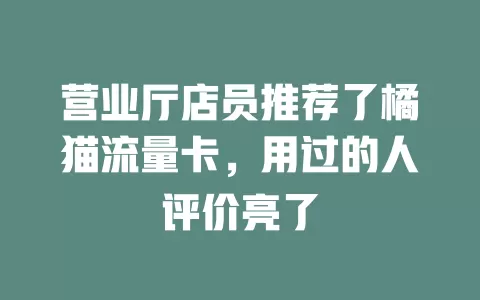 营业厅店员推荐了橘猫流量卡，用过的人评价亮了