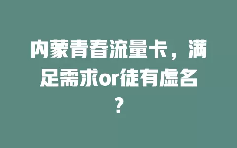 内蒙青春流量卡，满足需求or徒有虚名？