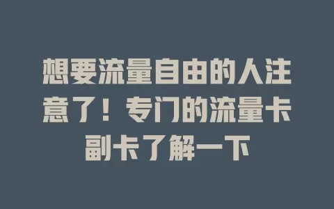 想要流量自由的人注意了！专门的流量卡副卡了解一下