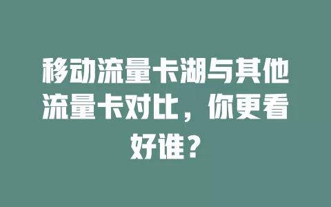 移动流量卡湖与其他流量卡对比，你更看好谁？