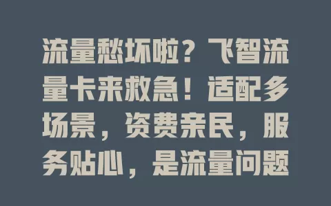 流量愁坏啦？飞智流量卡来救急！适配多场景，资费亲民，服务贴心，是流量问题救星！
