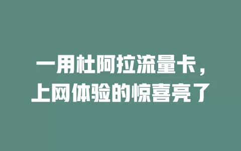 一用杜阿拉流量卡，上网体验的惊喜亮了