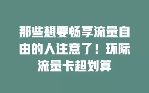 那些想要畅享流量自由的人注意了！环际流量卡超划算