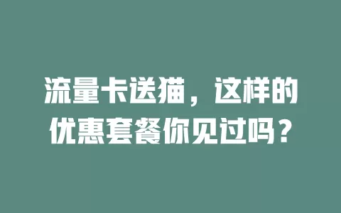 流量卡送猫，这样的优惠套餐你见过吗？