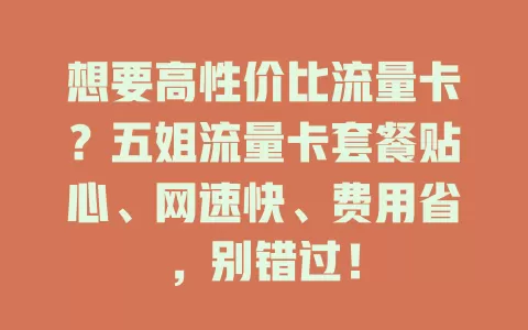 想要高性价比流量卡？五姐流量卡套餐贴心、网速快、费用省，别错过！