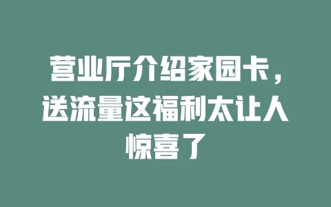 营业厅介绍家园卡，送流量这福利太让人惊喜了