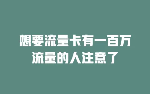 想要流量卡有一百万流量的人注意了