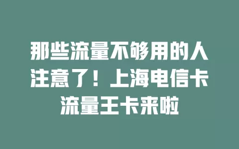 那些流量不够用的人注意了！上海电信卡流量王卡来啦