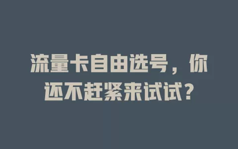 流量卡自由选号，你还不赶紧来试试？