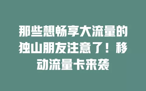 那些想畅享大流量的独山朋友注意了！移动流量卡来袭