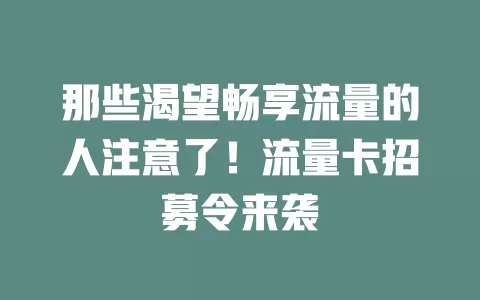 那些渴望畅享流量的人注意了！流量卡招募令来袭