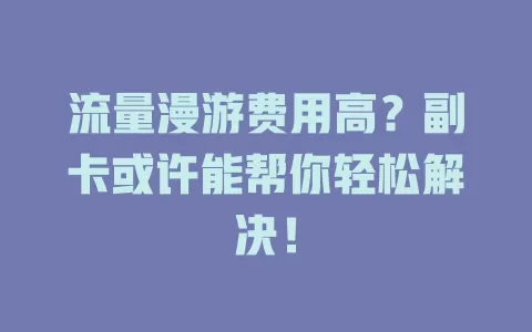 流量漫游费用高？副卡或许能帮你轻松解决！