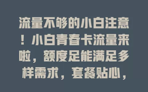 流量不够的小白注意！小白青春卡流量来啦，额度足能满足多样需求，套餐贴心，让你畅享网络乐趣无流量烦恼