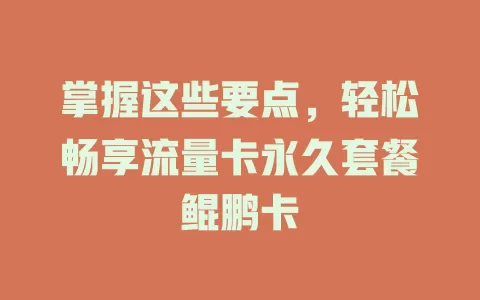 掌握这些要点，轻松畅享流量卡永久套餐鲲鹏卡