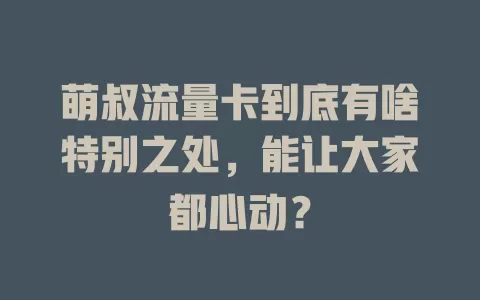 萌叔流量卡到底有啥特别之处，能让大家都心动？