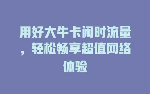 用好大牛卡闲时流量，轻松畅享超值网络体验