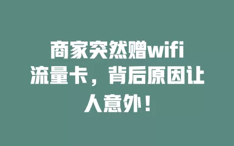 商家突然赠wifi流量卡，背后原因让人意外！