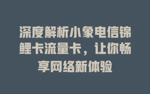 深度解析小象电信锦鲤卡流量卡，让你畅享网络新体验
