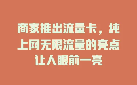 商家推出流量卡，纯上网无限流量的亮点让人眼前一亮