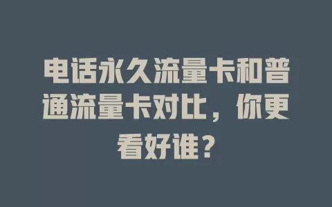 电话永久流量卡和普通流量卡对比，你更看好谁？