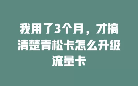我用了3个月，才搞清楚青松卡怎么升级流量卡
