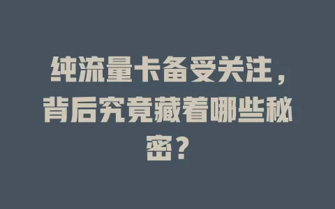 纯流量卡备受关注，背后究竟藏着哪些秘密？