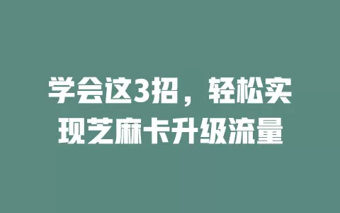 学会这3招，轻松实现芝麻卡升级流量