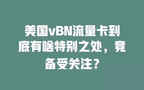 美国vBN流量卡到底有啥特别之处，竟备受关注？