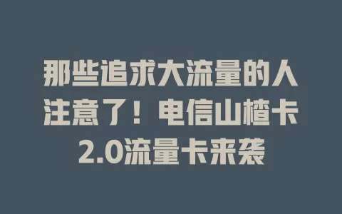 那些追求大流量的人注意了！电信山楂卡2.0流量卡来袭