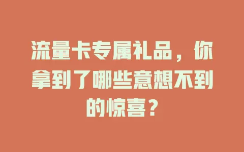 流量卡专属礼品，你拿到了哪些意想不到的惊喜？