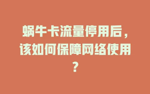 蜗牛卡流量停用后，该如何保障网络使用？