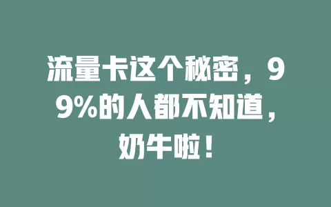 流量卡这个秘密，99%的人都不知道，奶牛啦！