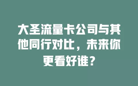 大圣流量卡公司与其他同行对比，未来你更看好谁？