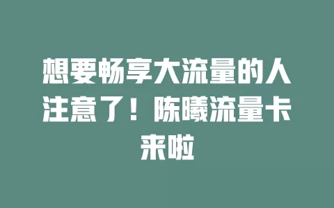 想要畅享大流量的人注意了！陈曦流量卡来啦
