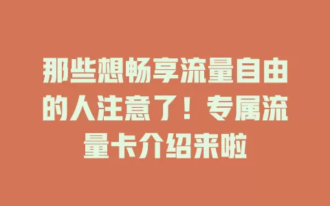 那些想畅享流量自由的人注意了！专属流量卡介绍来啦