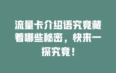 流量卡介绍语究竟藏着哪些秘密，快来一探究竟！