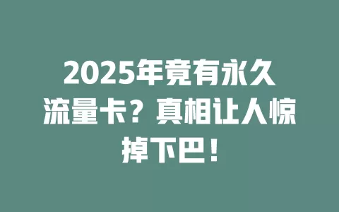 2025年竟有永久流量卡？真相让人惊掉下巴！