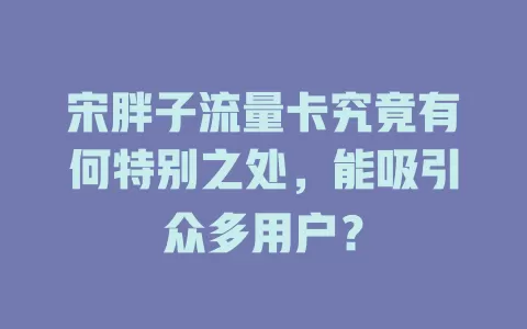 宋胖子流量卡究竟有何特别之处，能吸引众多用户？