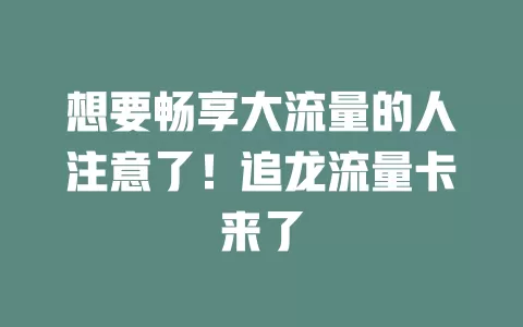 想要畅享大流量的人注意了！追龙流量卡来了