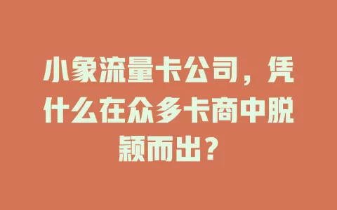 小象流量卡公司，凭什么在众多卡商中脱颖而出？